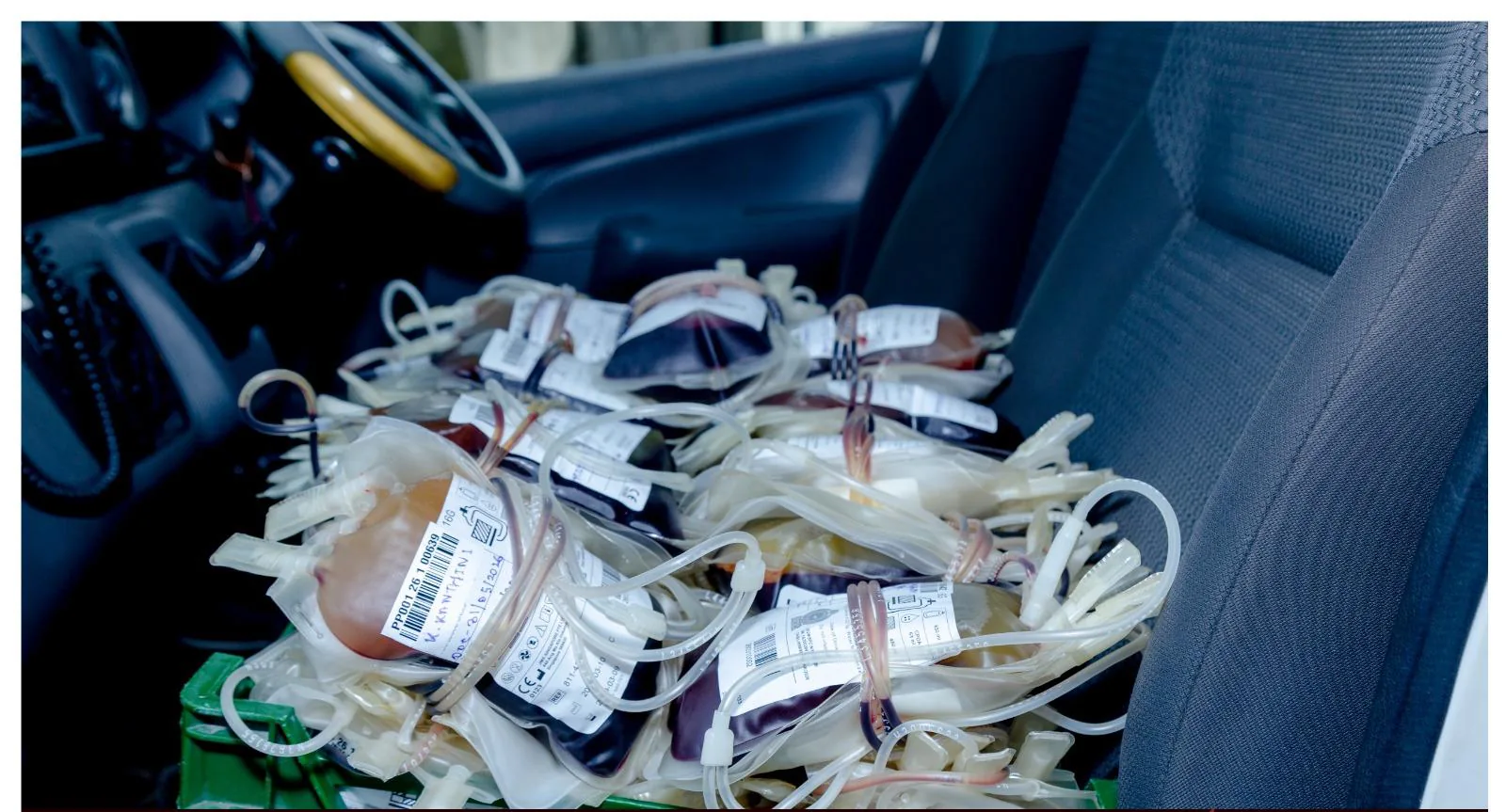 Bags of donated blood collected in a crate, ready for transport to hospital blood banks.