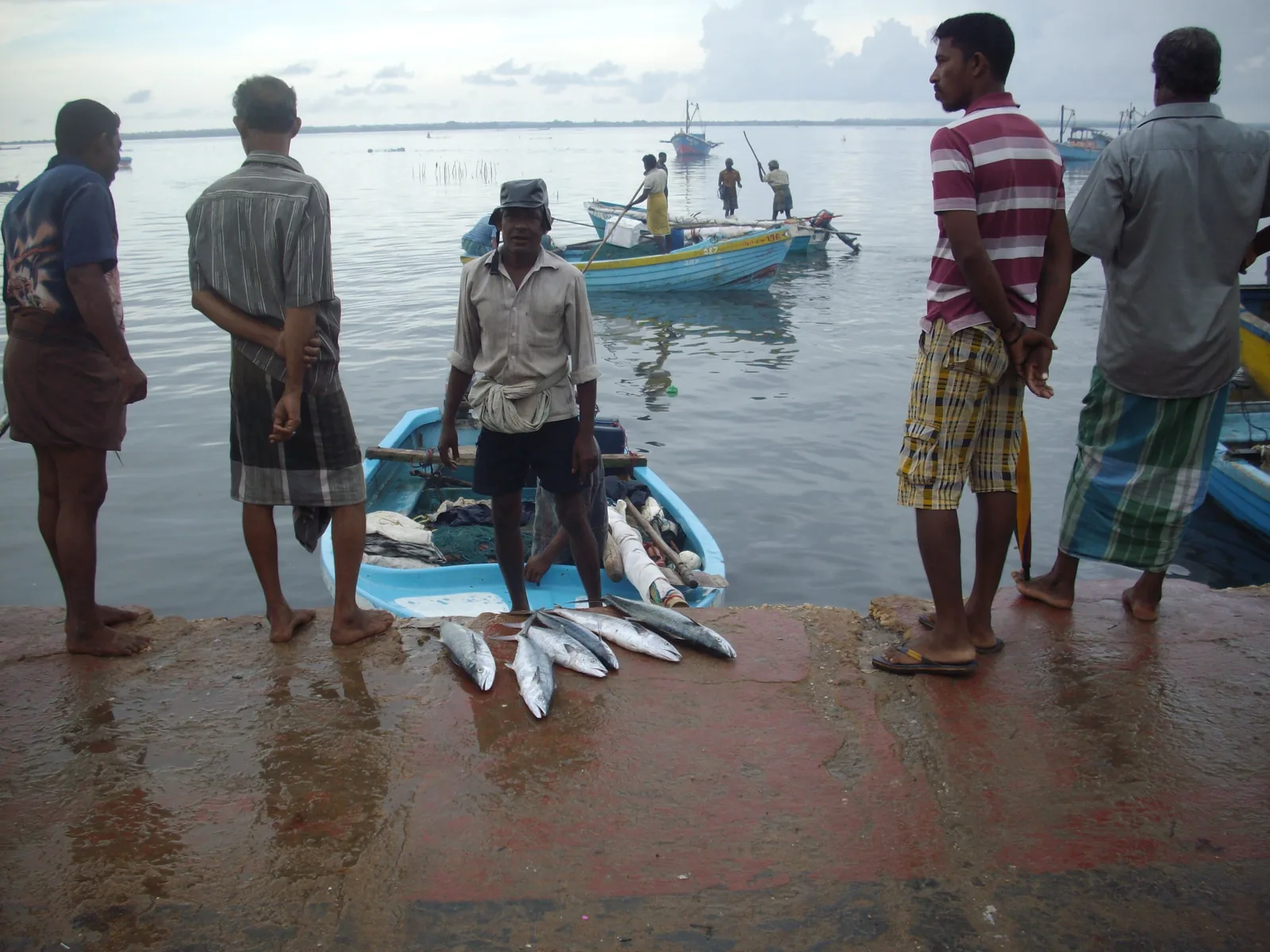 Fishermen and buyers on a jetty at Jaffna's fish harbour, with the day's catch laid out on the ground and boats moored behind them.